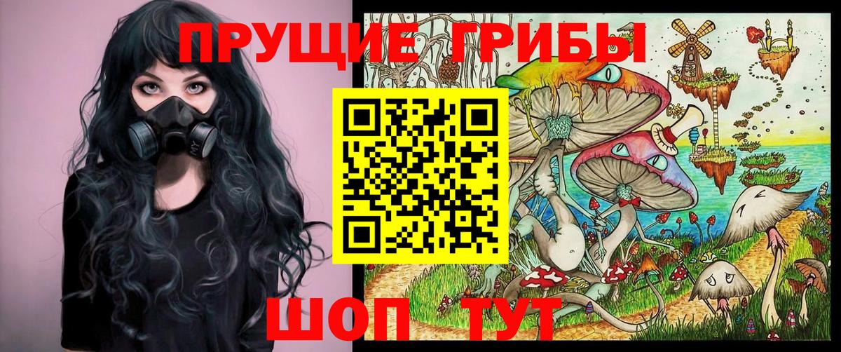 Псилоцибиновые грибы Psilocybine cubensis  Вход с VPN  даркнет сайт  Псилоцибиновые грибы прущие грибы  Менделеевск 