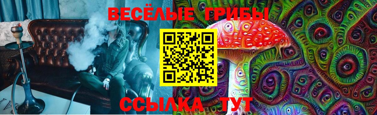 Галлюциногенные грибы Cubensis Менделеевск